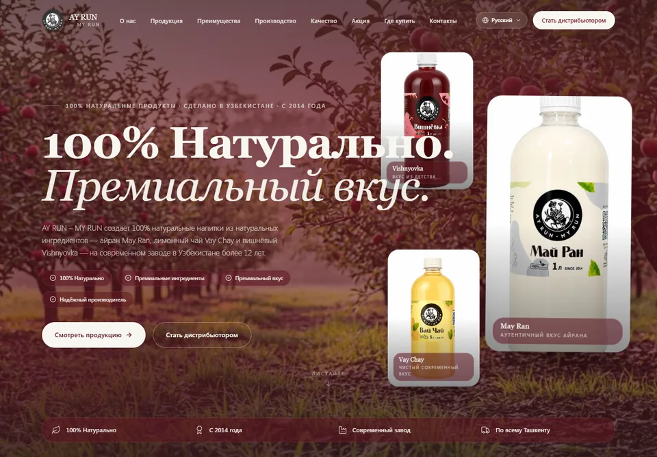 AY RUN / MY RUN — website homepage