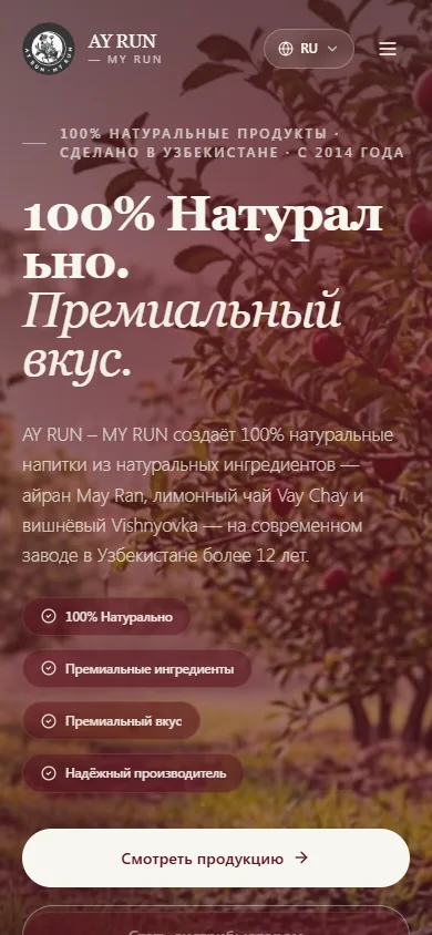AY RUN / MY RUN — mobile website